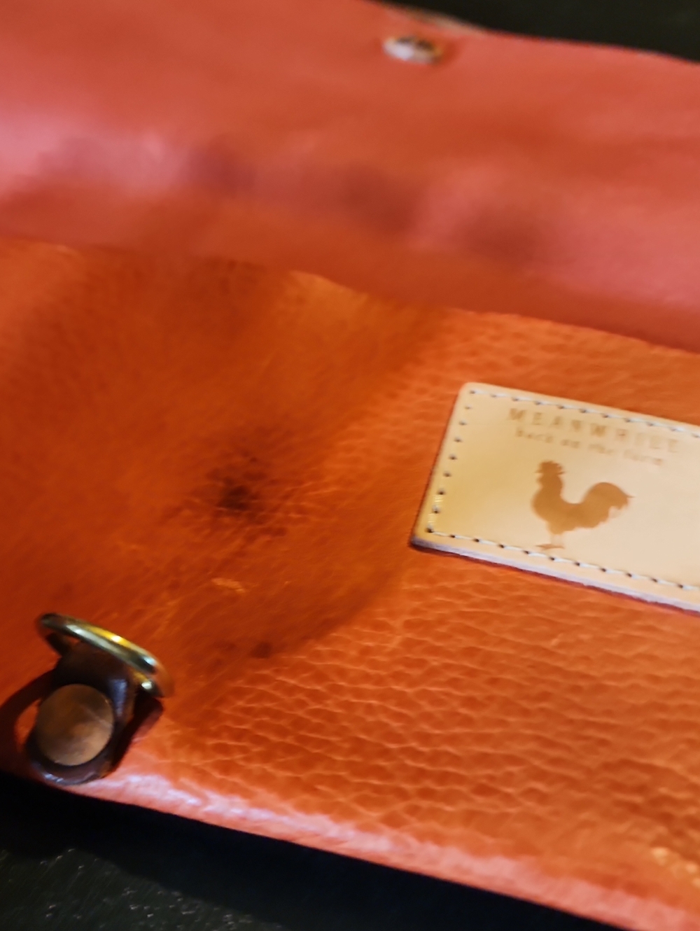 MEANWHILE BACK ON THE FARM crossbody - Picture 5 of 6